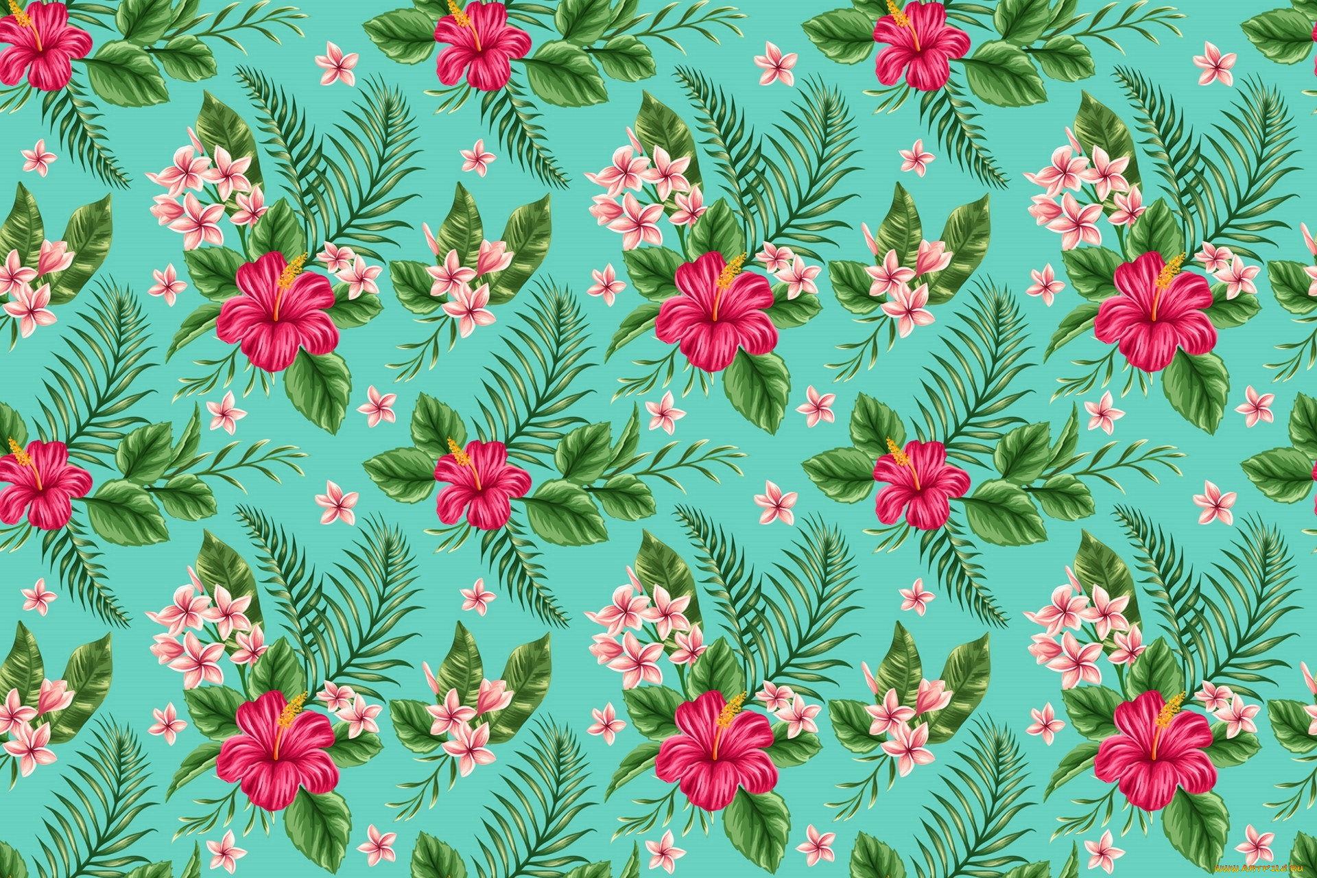  ,  , flowers, , , , 